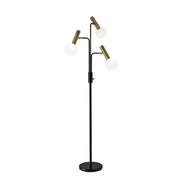 Adesso Home - 3765-01 - LED Floor Lamp - Sinclair - Black
