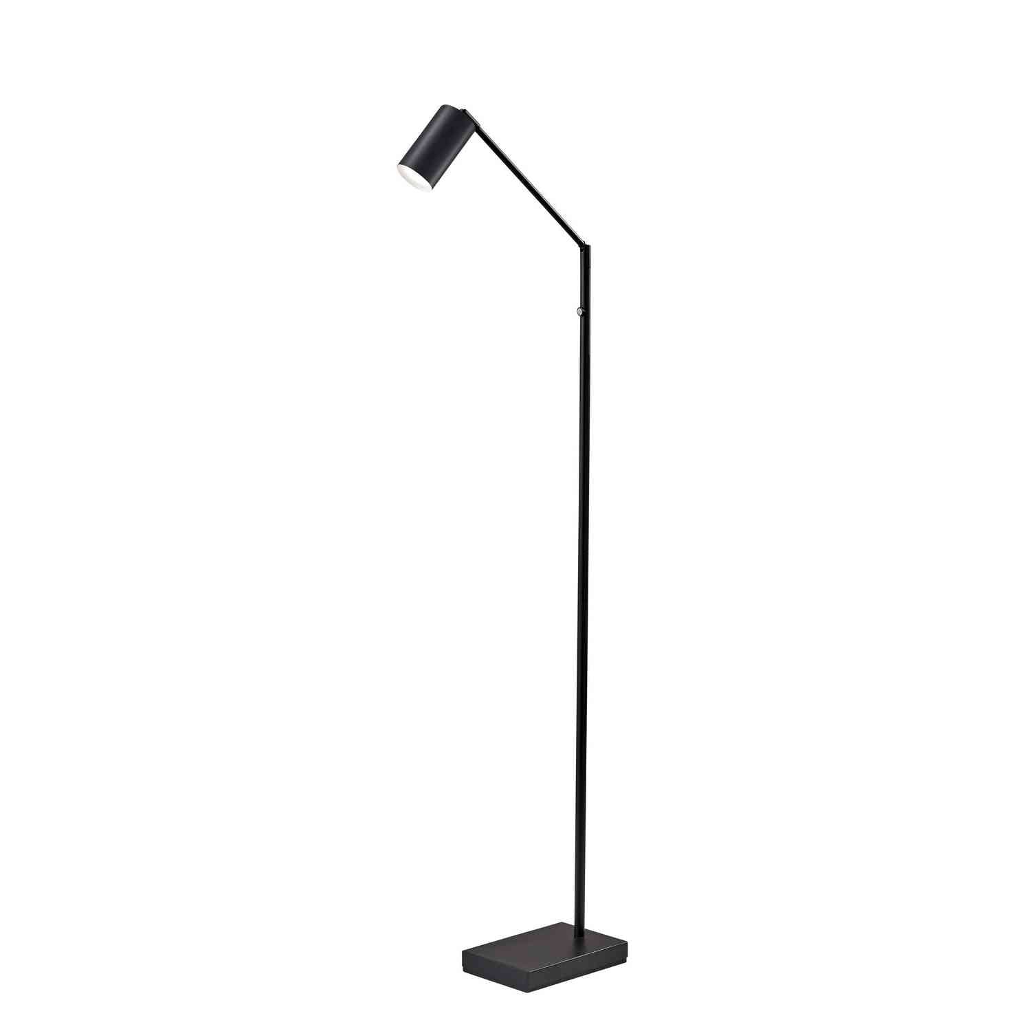 Adesso Home - 4275-01 - LED Floor Lamp - Colby - Black Painted
