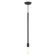 Livex Lighting - 45831-04 - One Light Pendant - Prague - Black