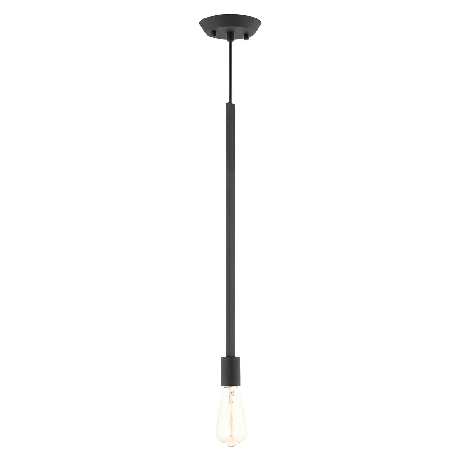 Livex Lighting - 45831-04 - One Light Pendant - Prague - Black