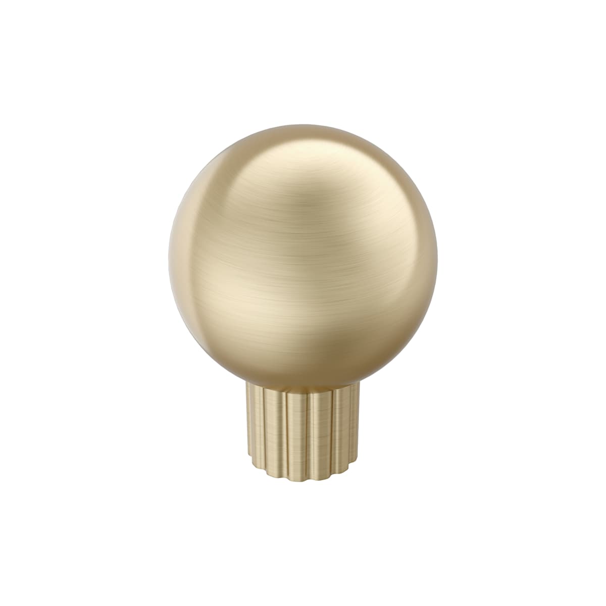 Cowrie 1-1/8 Inch Round Cabinet Knob