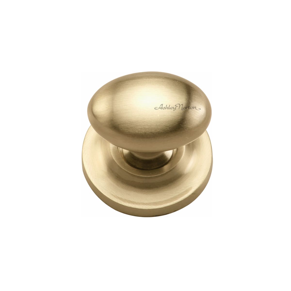 Solid Brass Egg 1-1/2 Inch Oval Cabinet Knob with Backplate