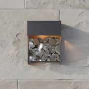 Coulee LED Outdoor Wall Sconce