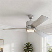 Vision 56" Ceiling Fan