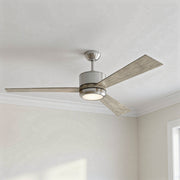 Vision 52" Ceiling Fan