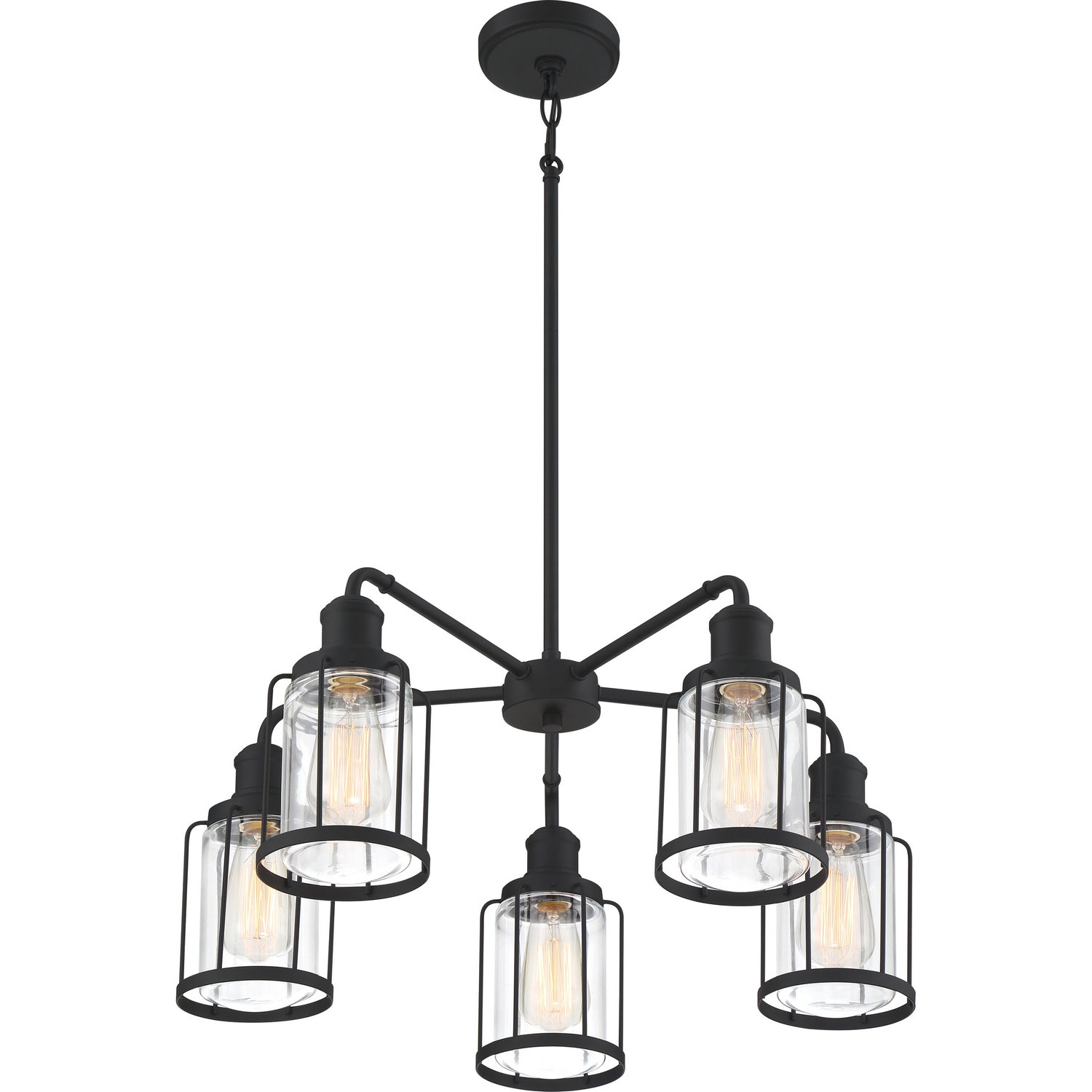 Quoizel - LUD5026EK - Five Light Chandelier - Ludlow - Earth Black