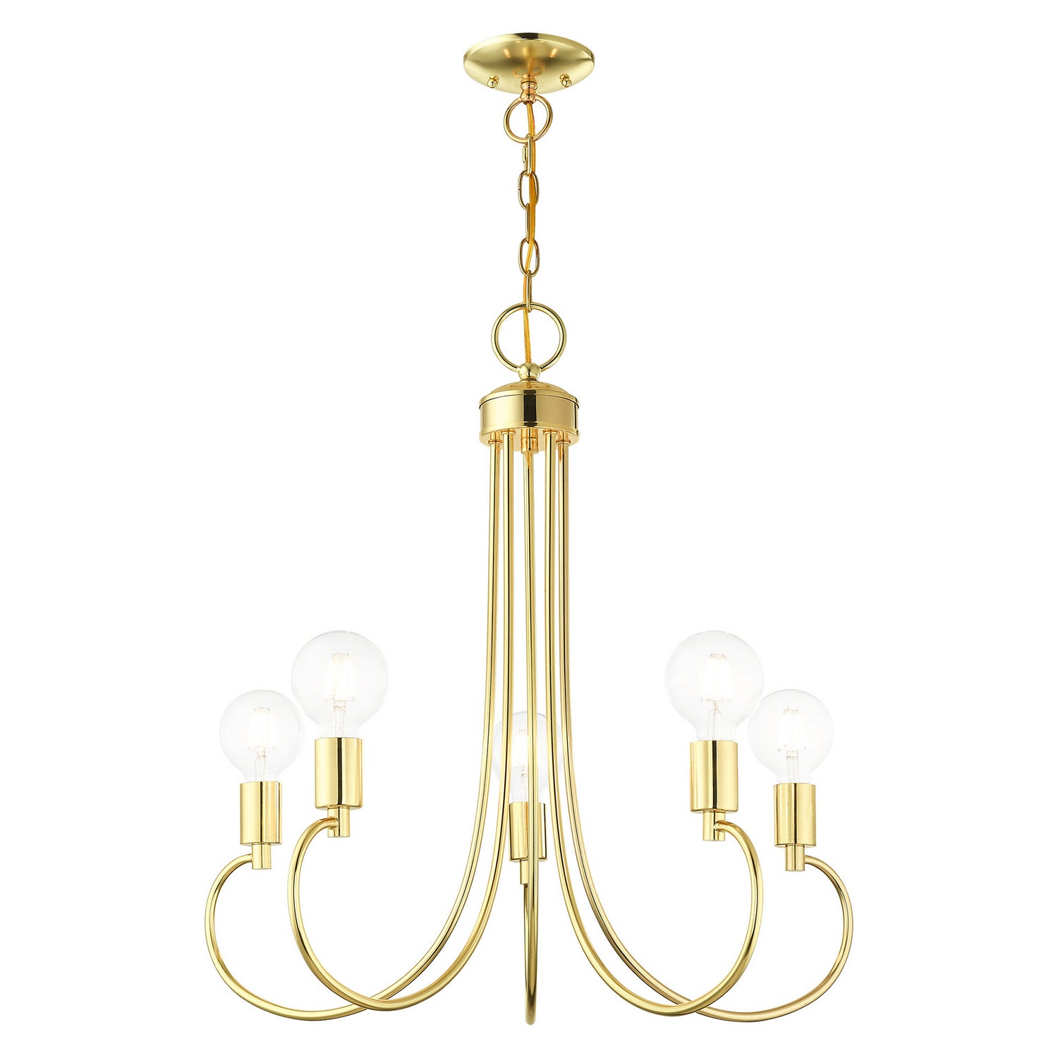 Livex Lighting - 42925-02 - Five Light Chandelier - Bari - Polished Brass
