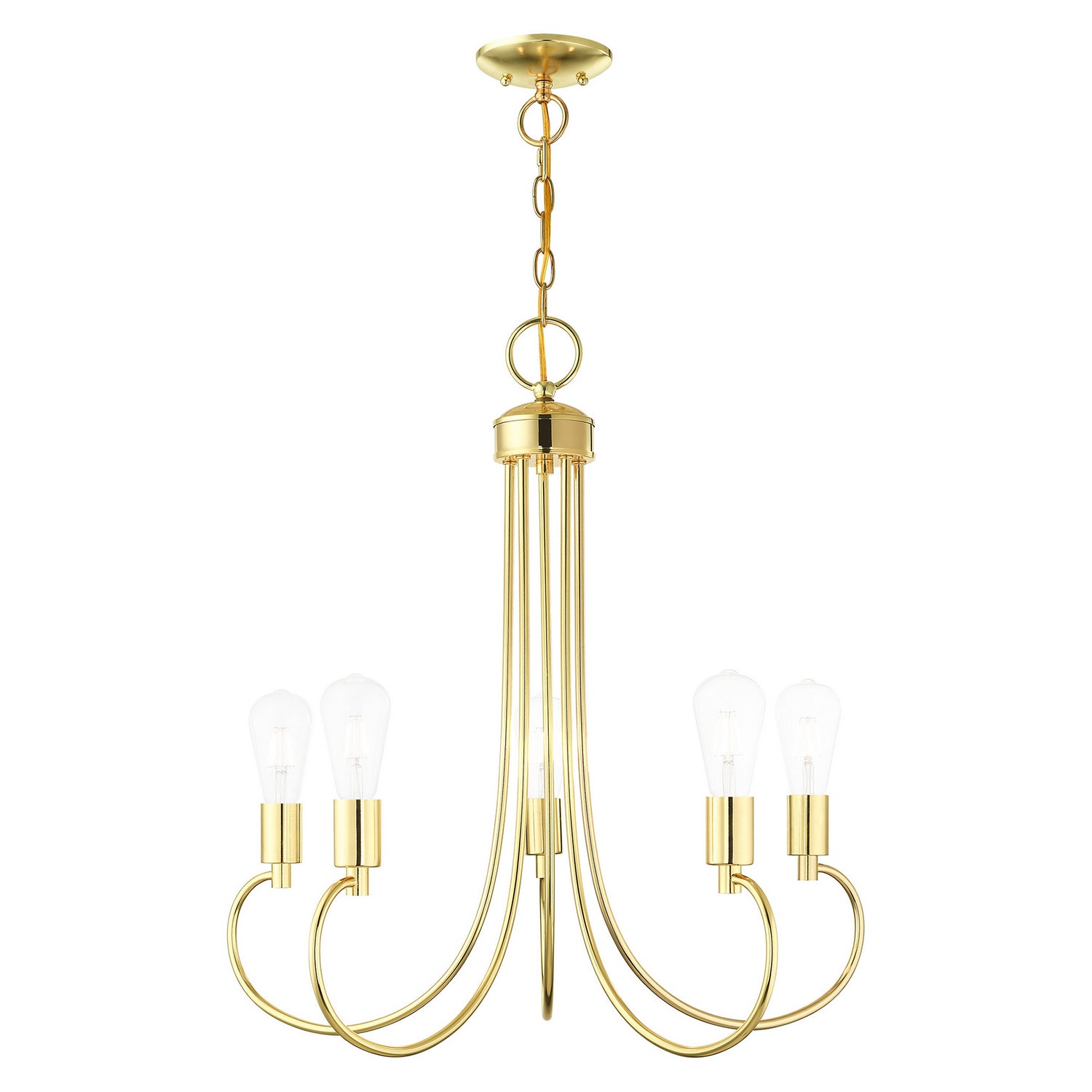 Livex Lighting - 42925-02 - Five Light Chandelier - Bari - Polished Brass