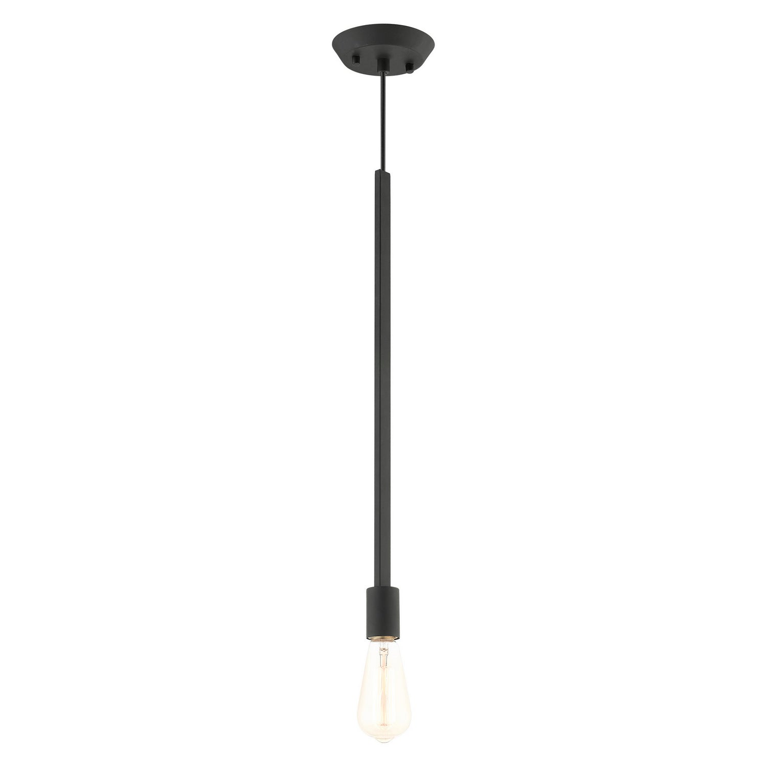 Livex Lighting - 45831-04 - One Light Pendant - Prague - Black