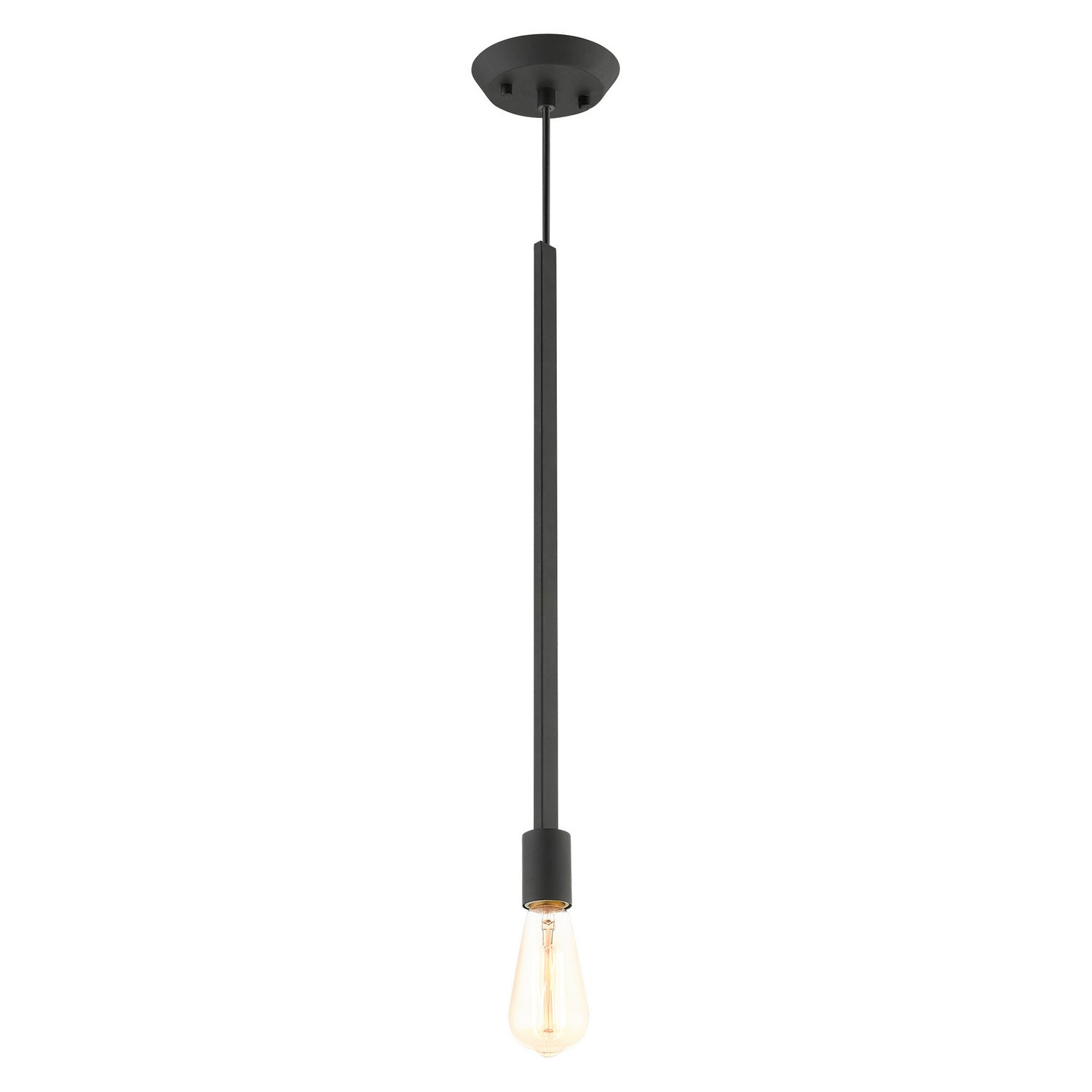Livex Lighting - 45831-04 - One Light Pendant - Prague - Black