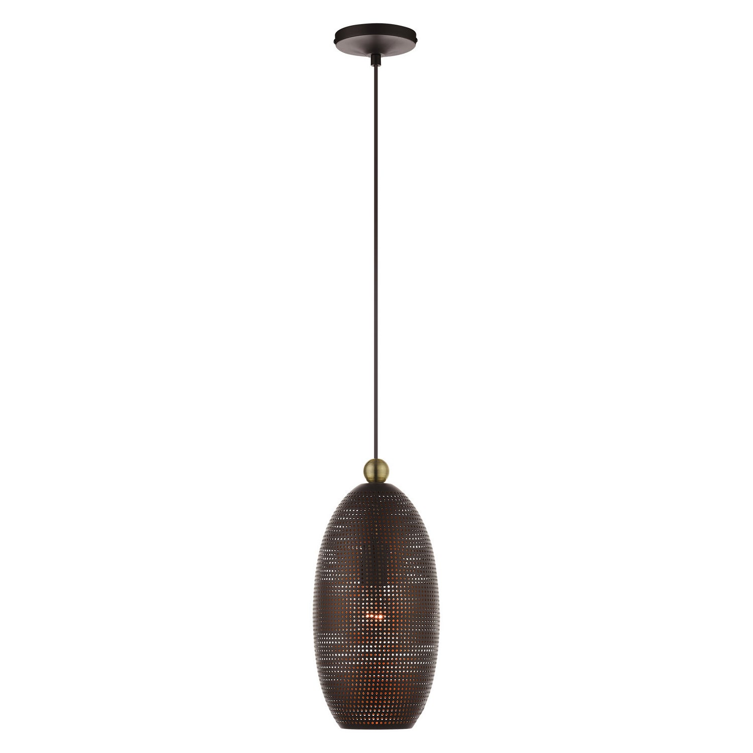 Livex Lighting - 49101-07 - One Light Pendant - Dublin - Bronze w/ Antique Brasss