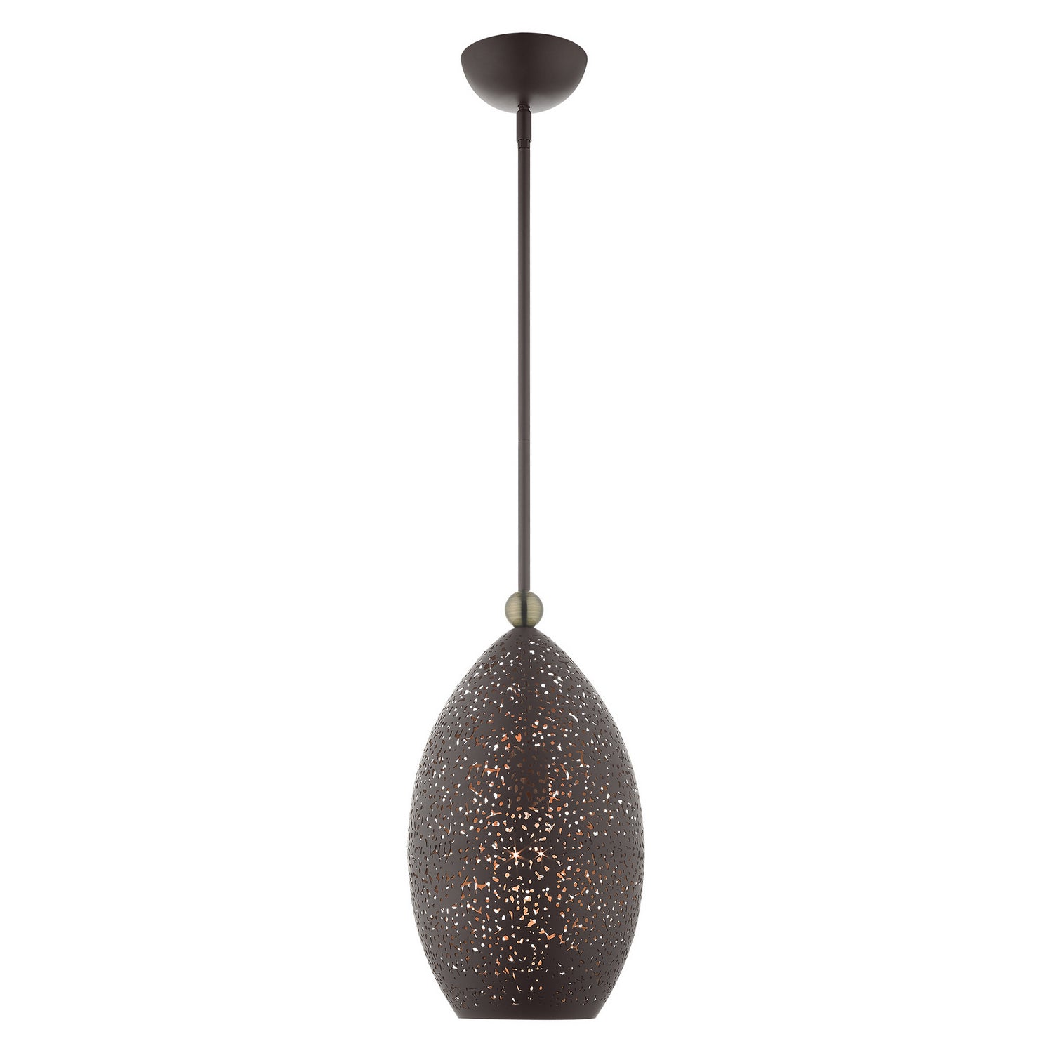 Livex Lighting - 49182-07 - One Light Pendant - Charlton - Bronze w/ Antique Brasss