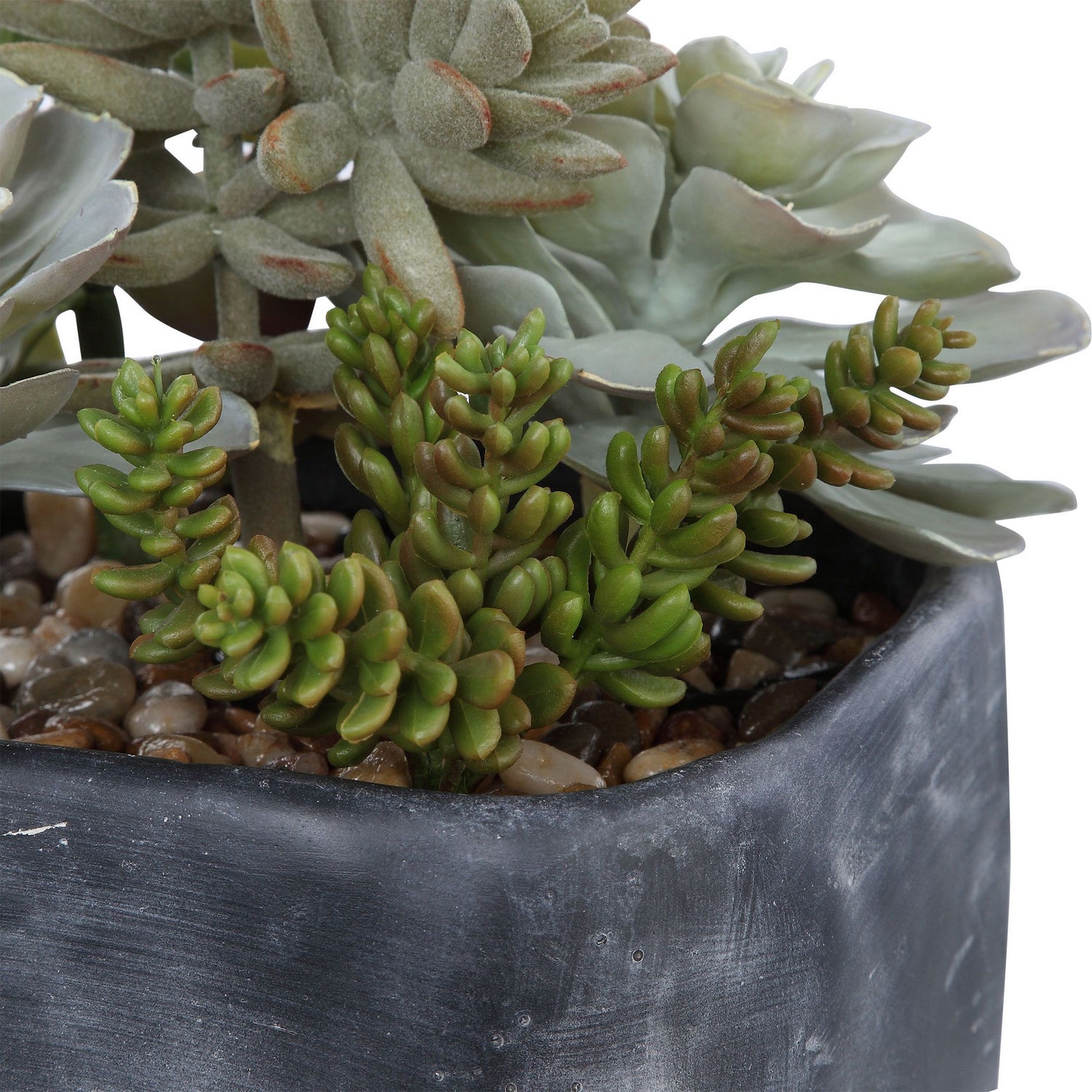 Uttermost - 60173 - Succulents - Alverio - Charcoal Gray