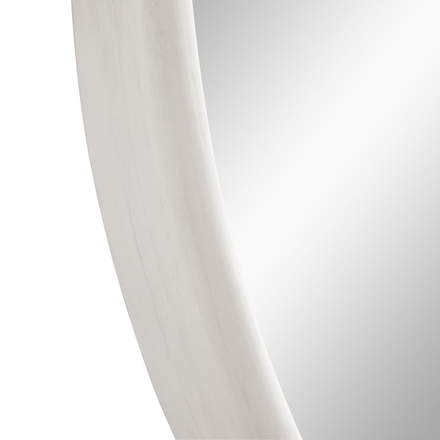 Arteriors - 4848 - Mirror - Lesley - White Wash