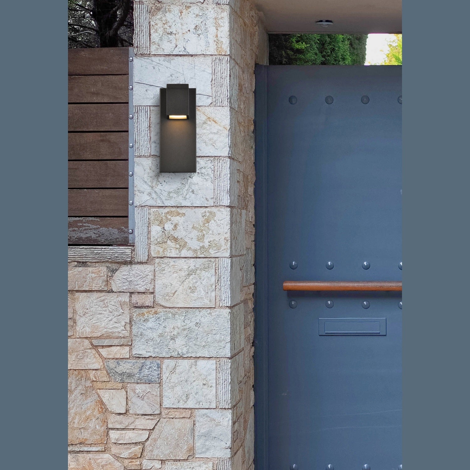 Elegant Lighting - LDOD4007BK - LED Outdoor Wall Lamp - Raine - black