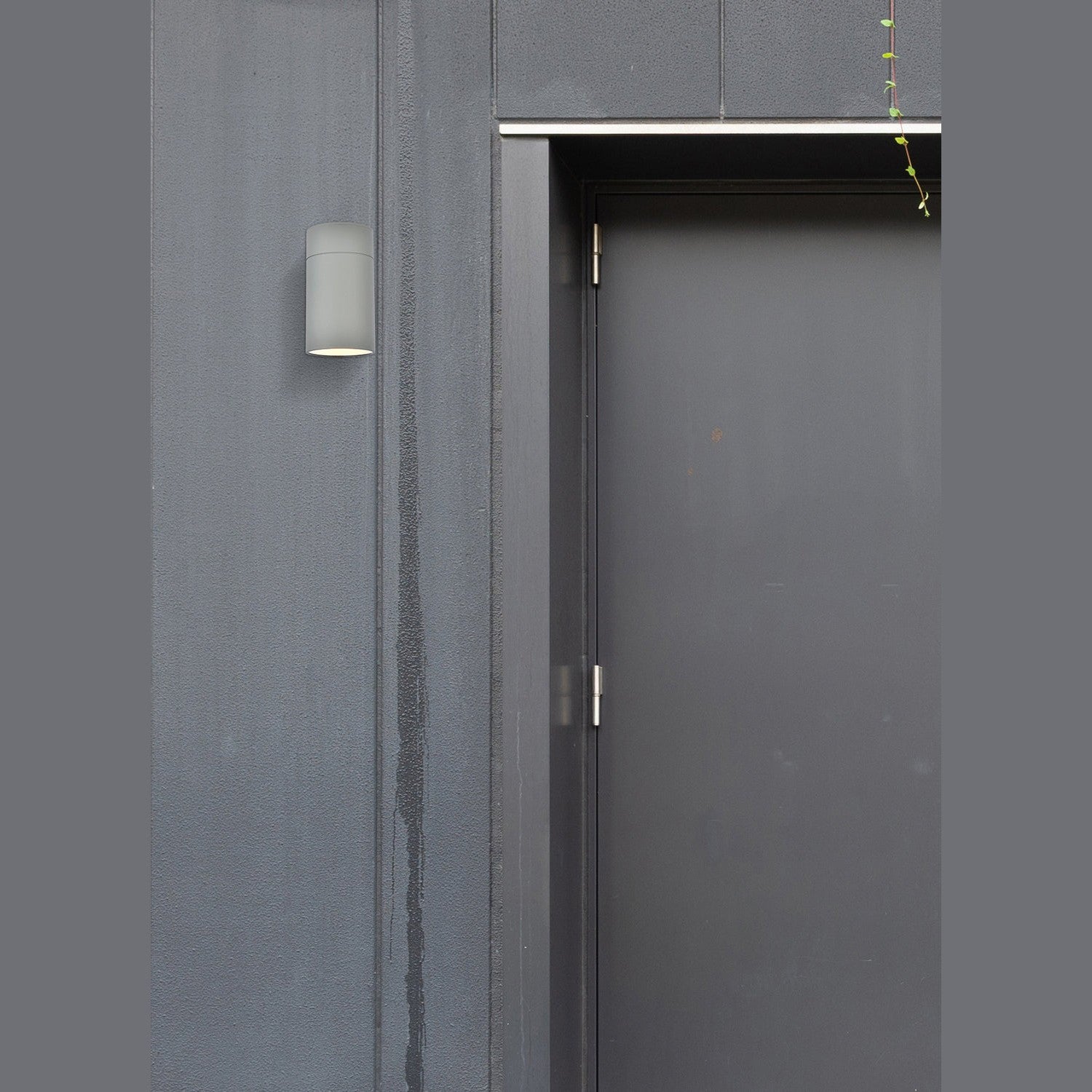 Elegant Lighting - LDOD4039S - Outdoor Wall Mount - Raine - Silver