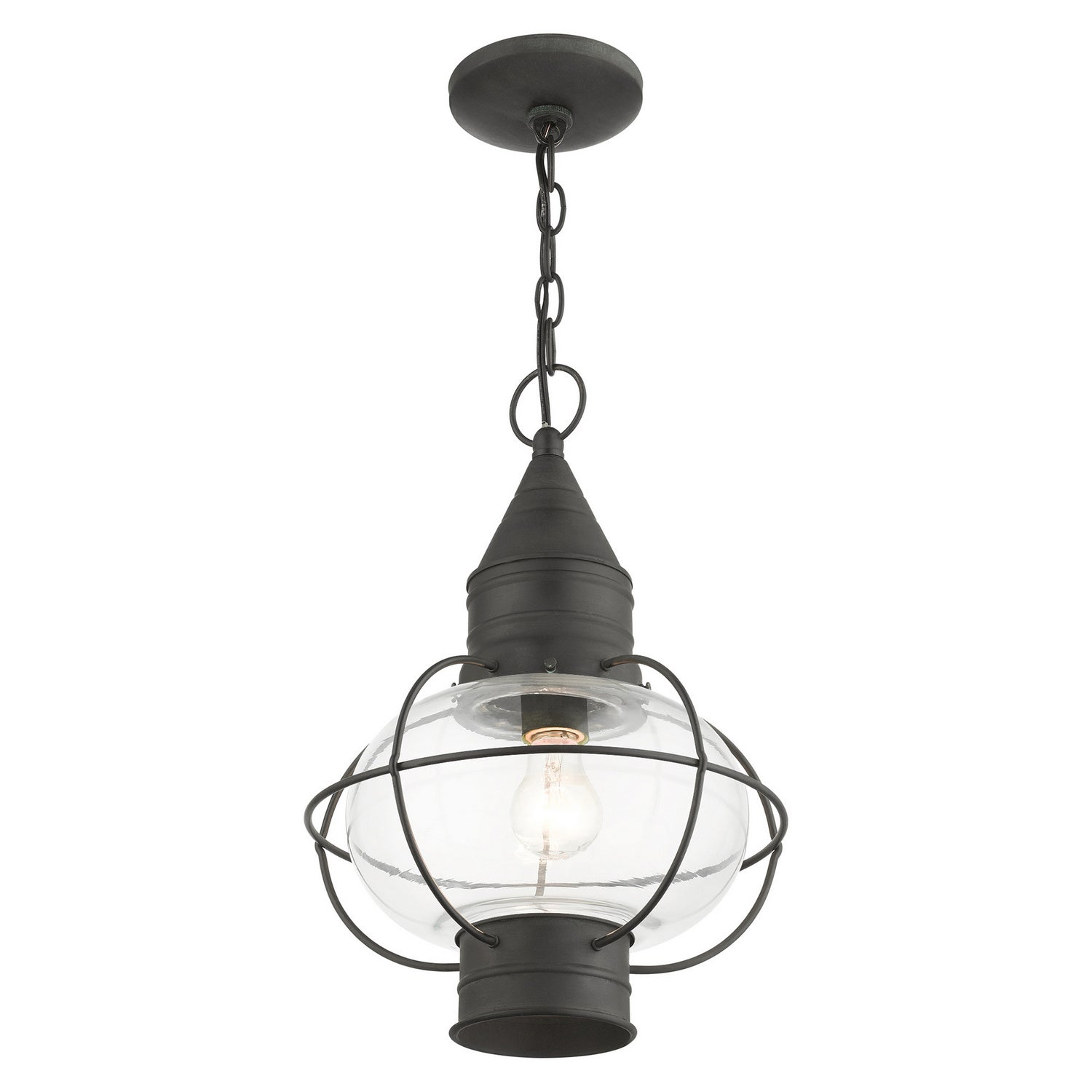 Livex Lighting - 26906-61 - One Light Outdoor Pendant - Newburyport - Charcoal