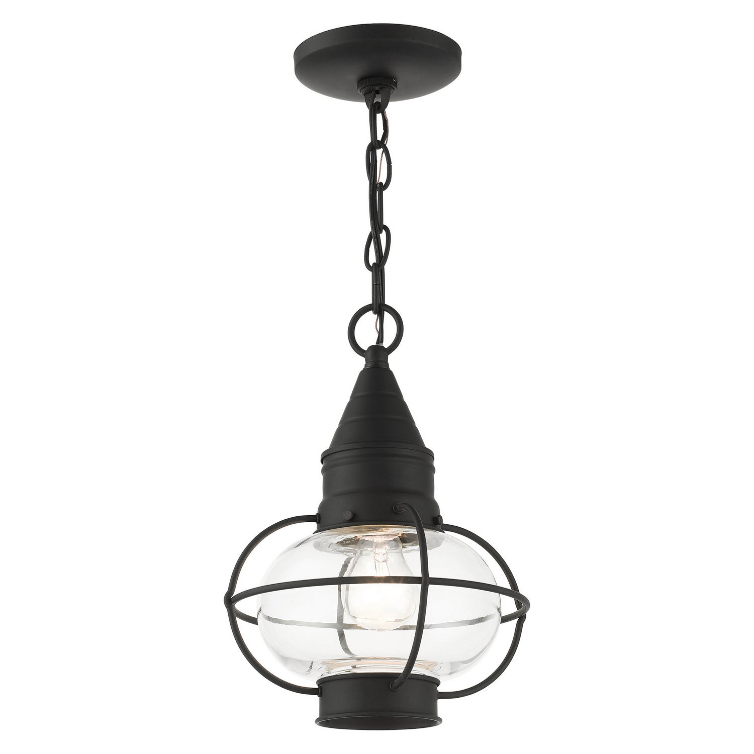 Livex Lighting - 26910-04 - One Light Outdoor Pendant - Newburyport - Black