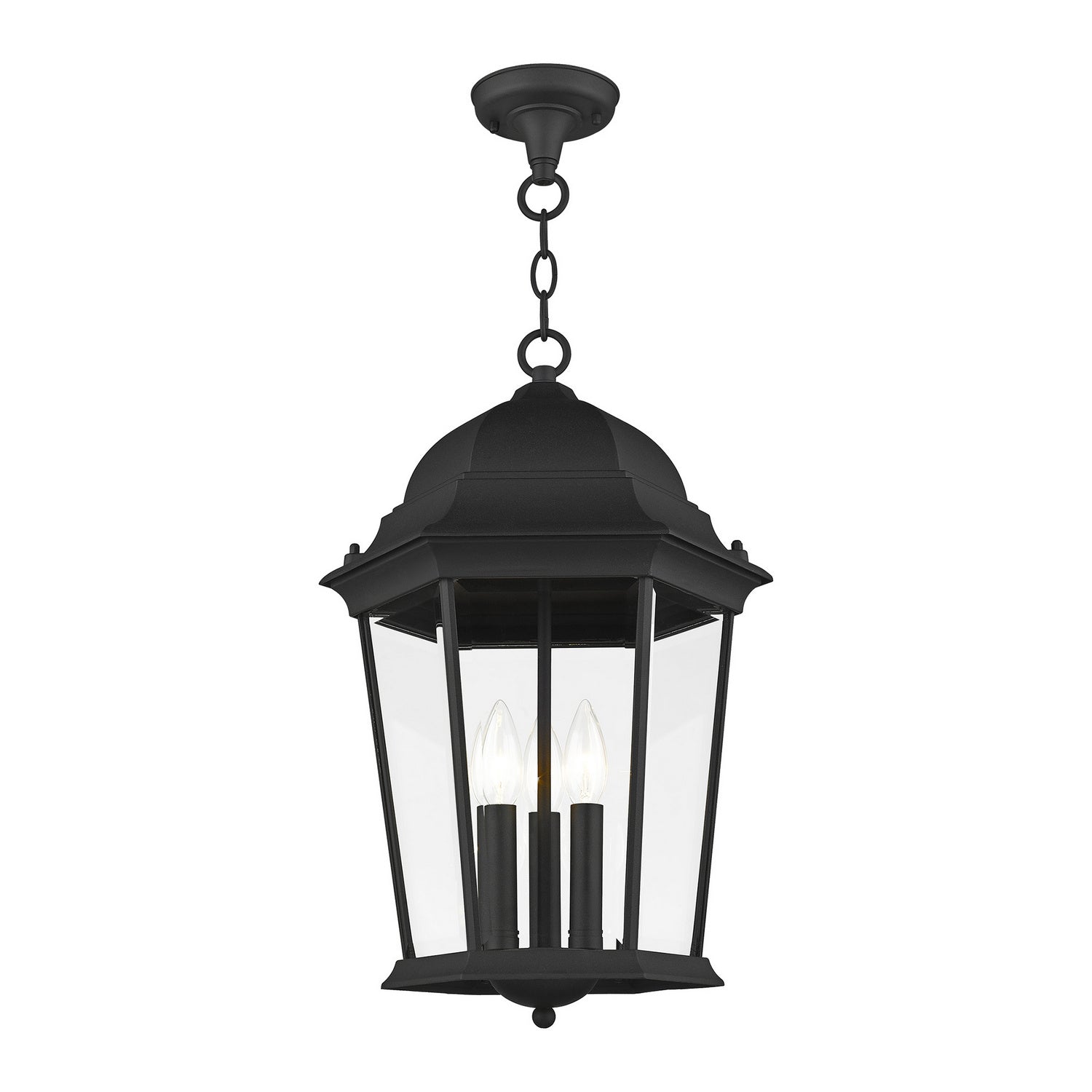 Livex Lighting - 7569-14 - Three Light Outdoor Pendant - Hamilton - Textured Black