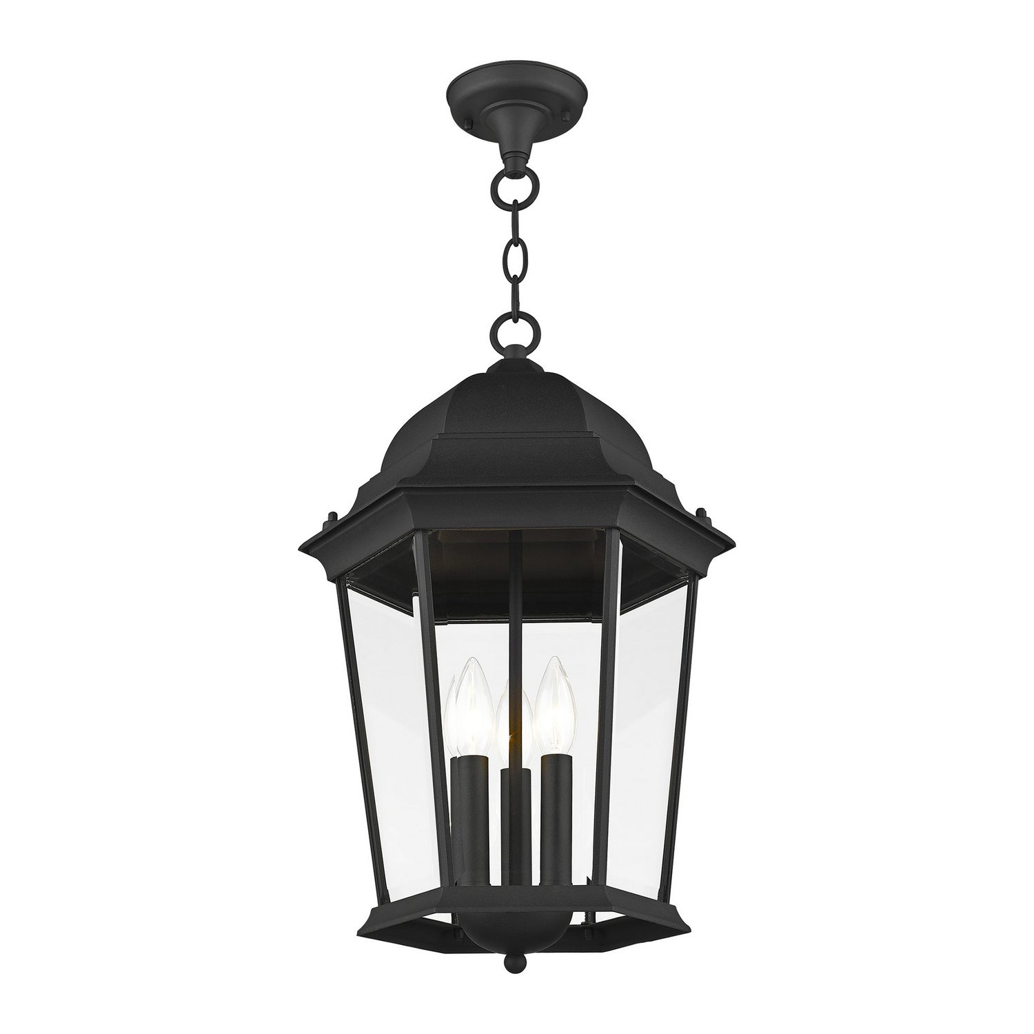 Livex Lighting - 7569-14 - Three Light Outdoor Pendant - Hamilton - Textured Black