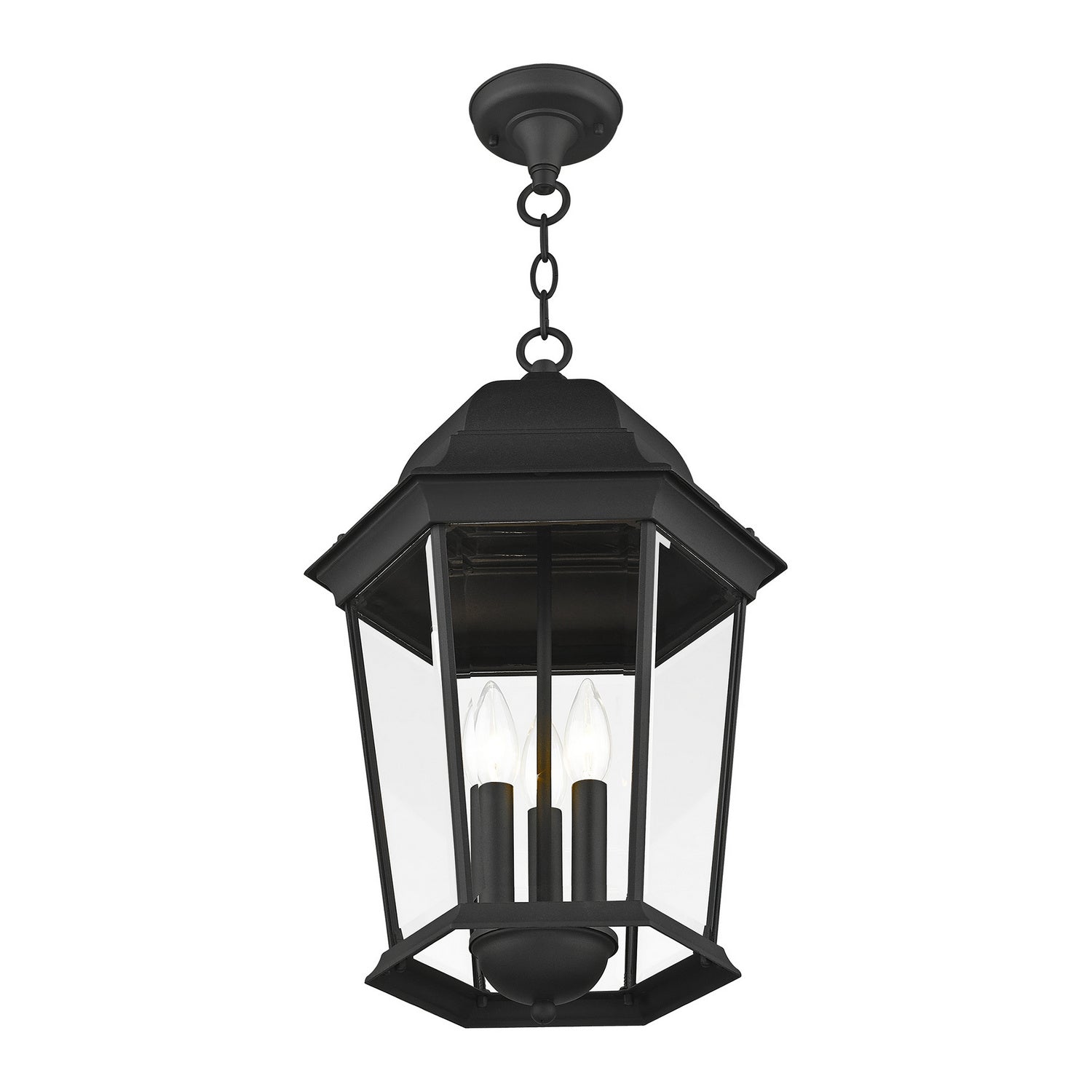Livex Lighting - 7569-14 - Three Light Outdoor Pendant - Hamilton - Textured Black