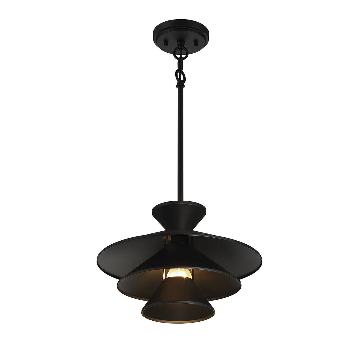 Meridian - M70096MBK - One Light Pendant - Matte Black