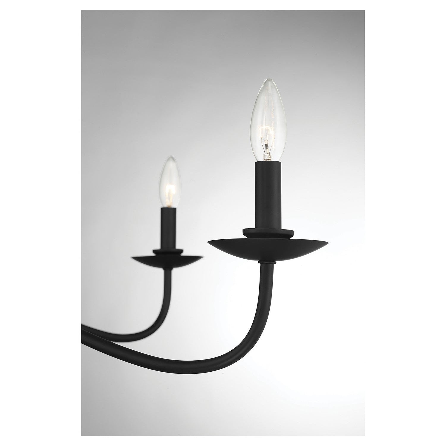 Meridian - M10085MBK - Five Light Chandelier - Matte Black