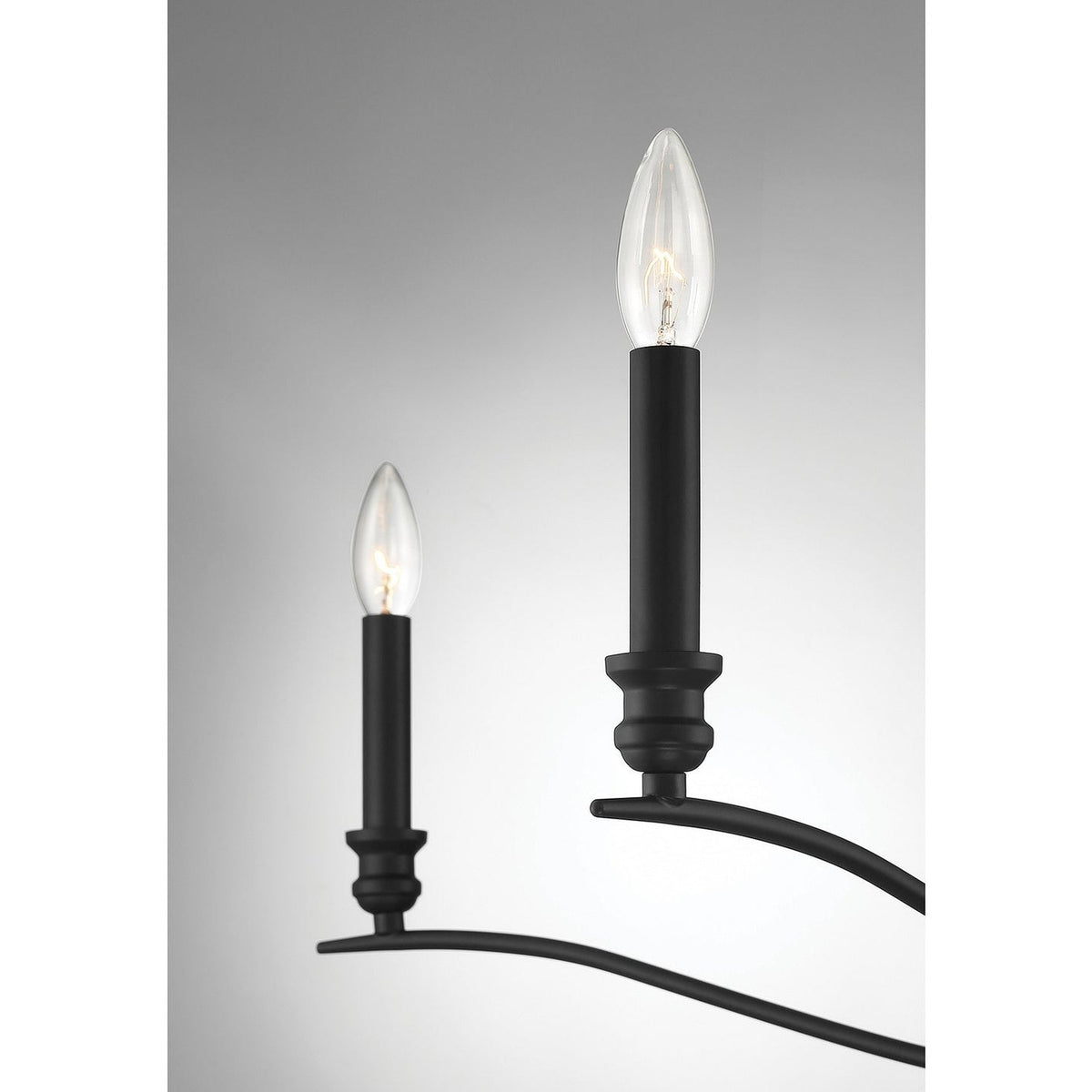 Meridian - M10086MBK - Five Light Chandelier - Matte Black
