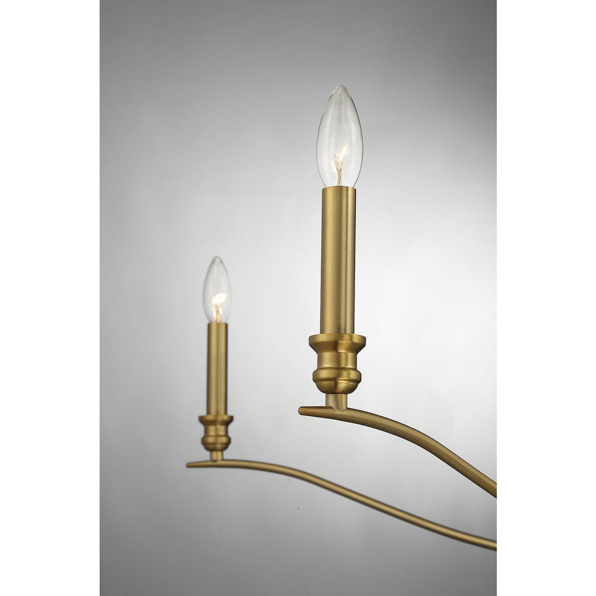 Meridian - M10086NB - Five Light Chandelier - Natural Brass