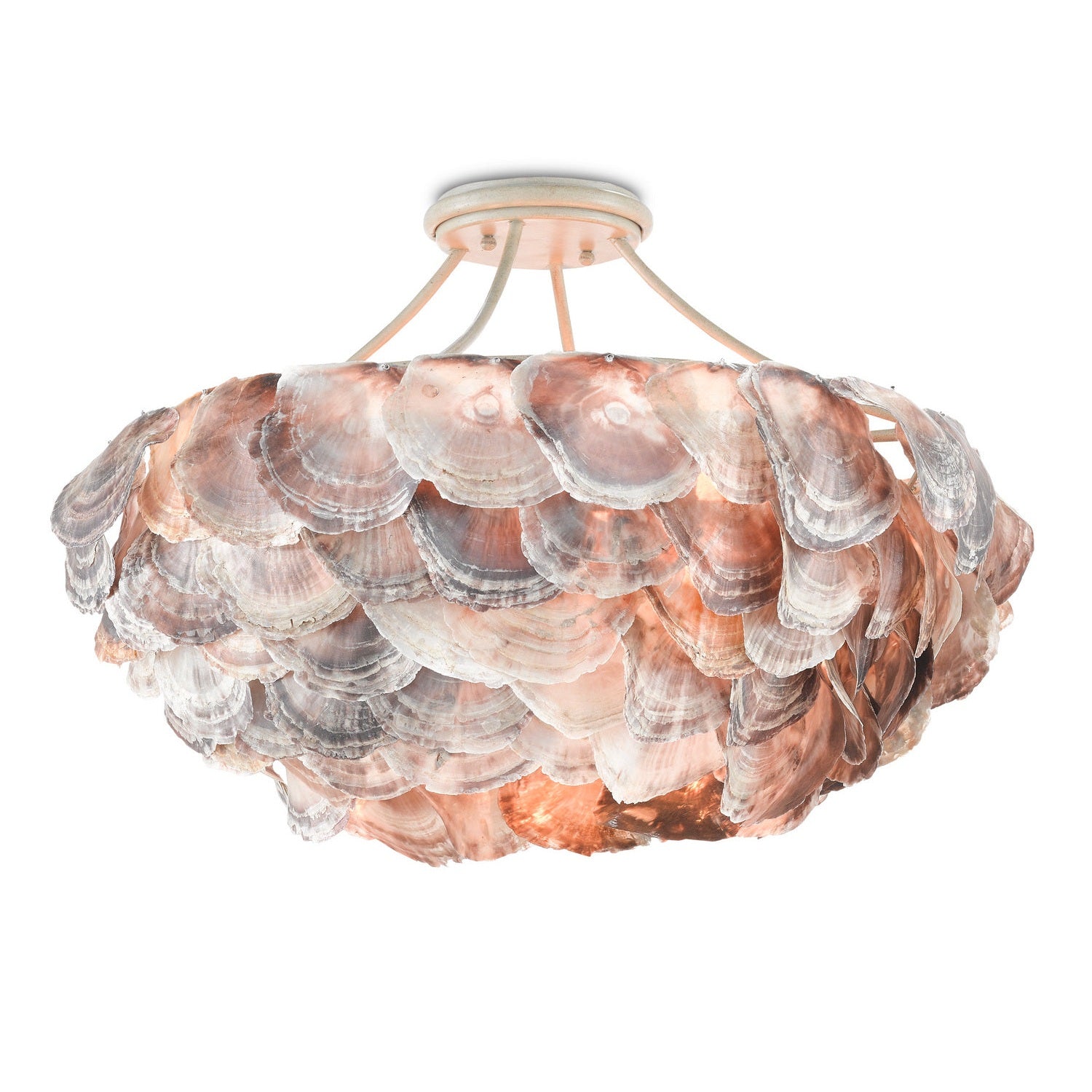 Currey and Company - 9000-0755 - Six Light Chandelier - Seahouse Semi-Flush Mount - Smokewood/Natural Shell
