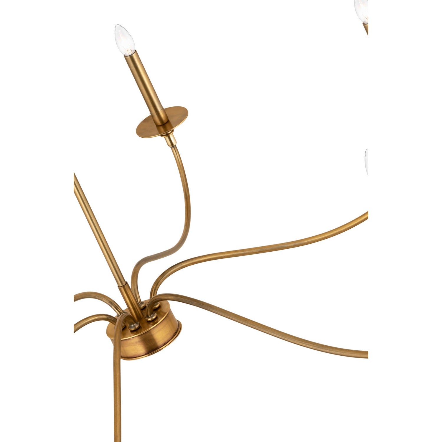 Z-Lite - 2301-42RB - Six Light Chandelier - Arrington - Rubbed Brass