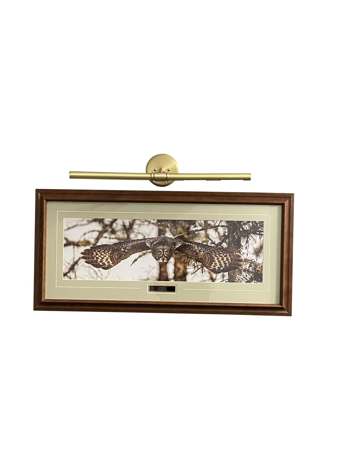 House of Troy - DCH25-51 - Four Light Picture Light - Chelsea - Satin Brass