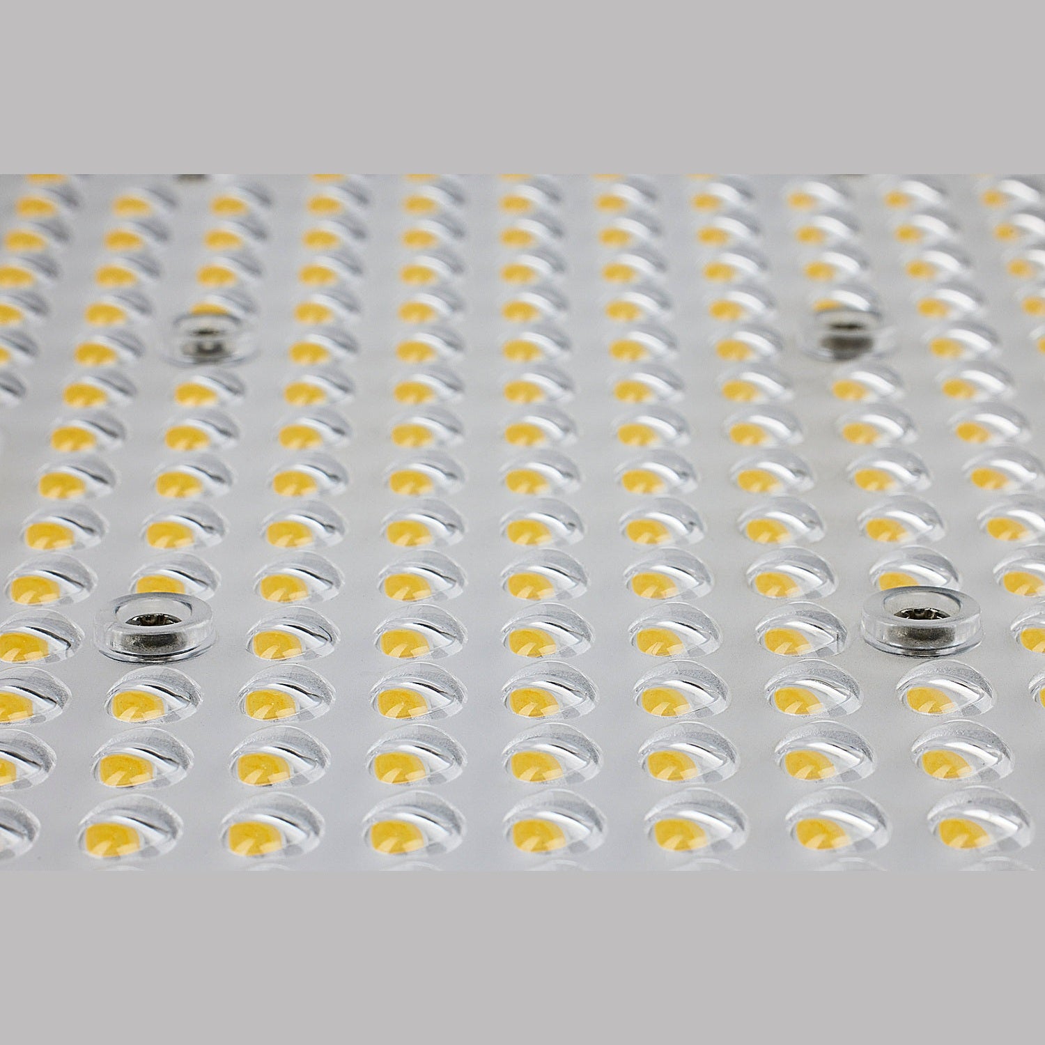 Nuvo Lighting - 65-848 - LED Area Light - Bronze