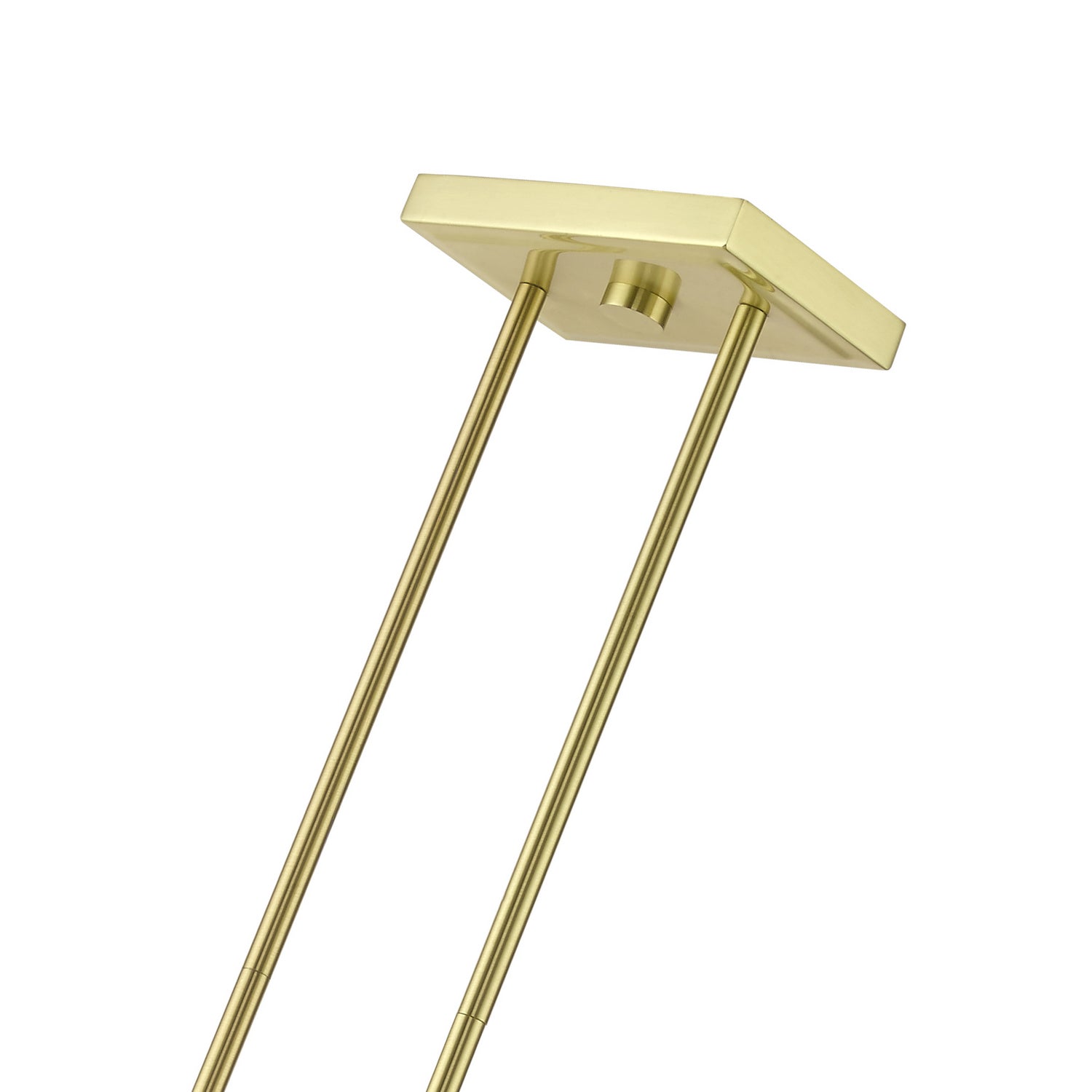 Livex Lighting - 49273-12 - Three Light Linear Chandelier - Clarion - Satin Brass