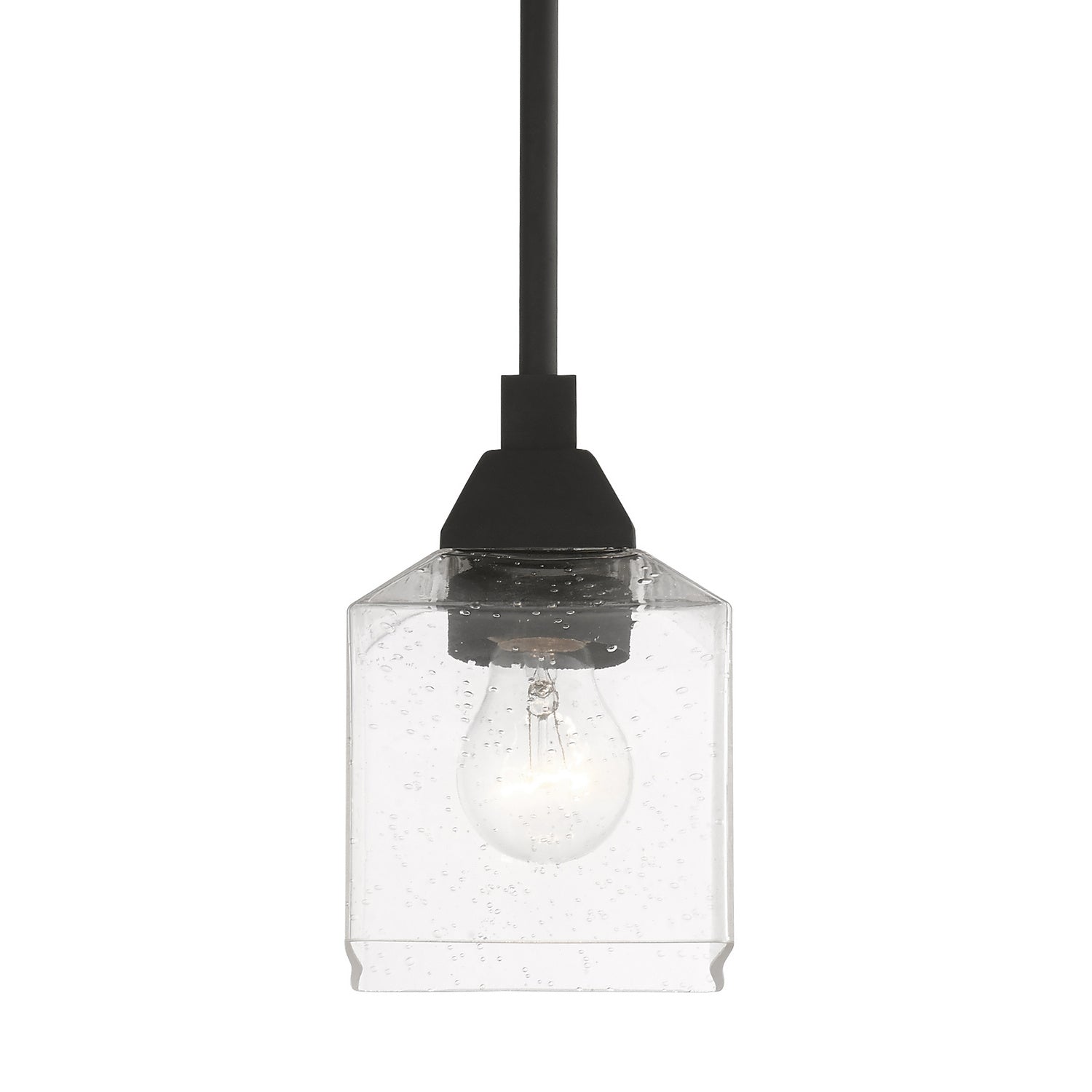 Livex Lighting - 49761-04 - One Light Mini Pendant - Aragon - Black