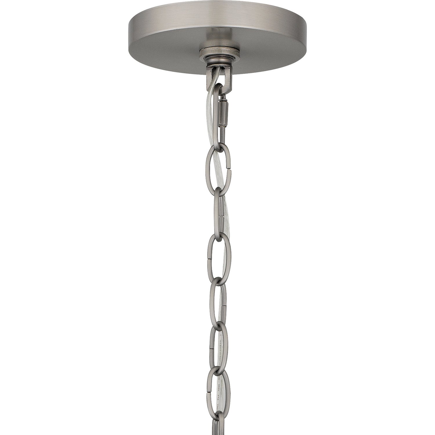 Quoizel - BYN2824AN - Five Light Pendant - Bryn - Antique Nickel