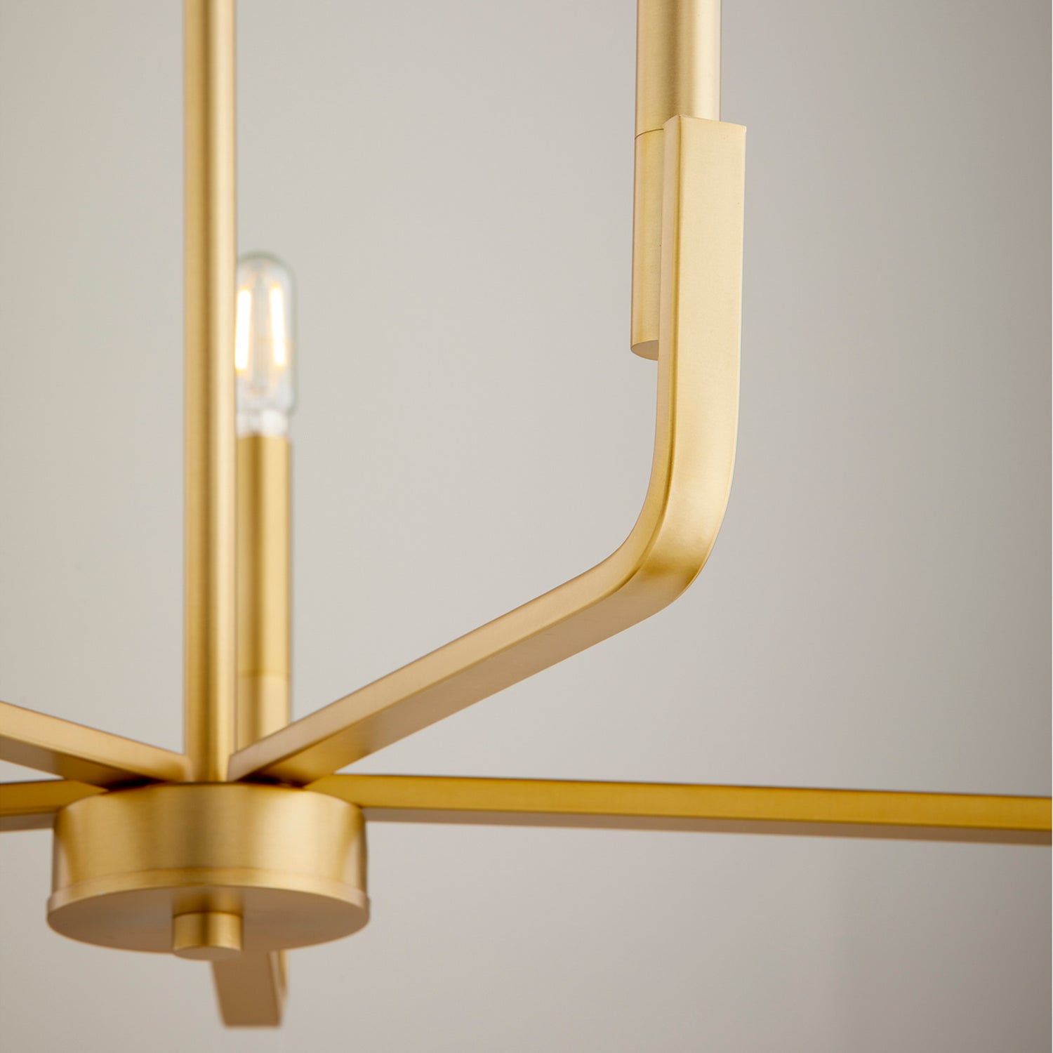 Quorum - 6210-5-80 - Six Light Chandelier - Tempo - Aged Brass
