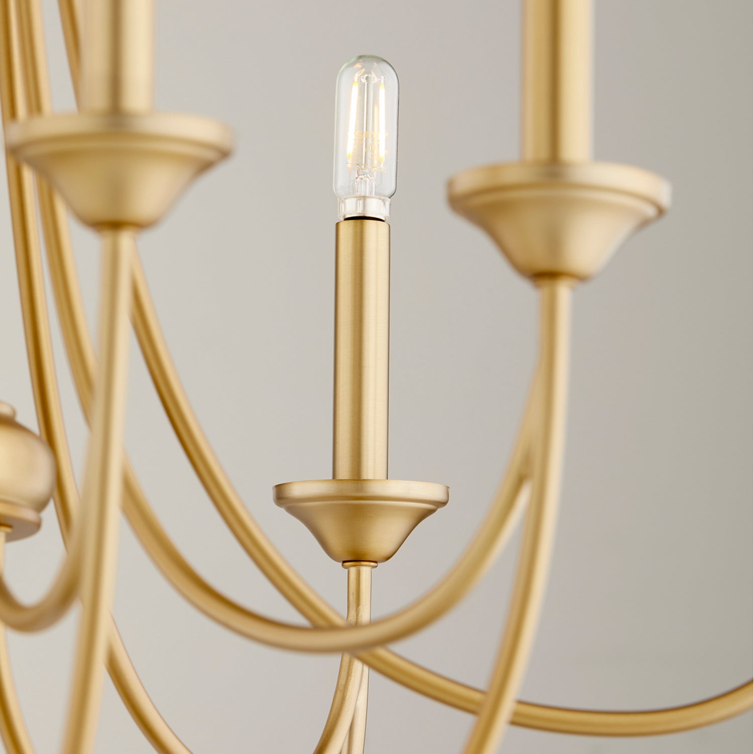 Quorum - 6250-8-80 - Eight Light Chandelier - Brooks - Aged Brass
