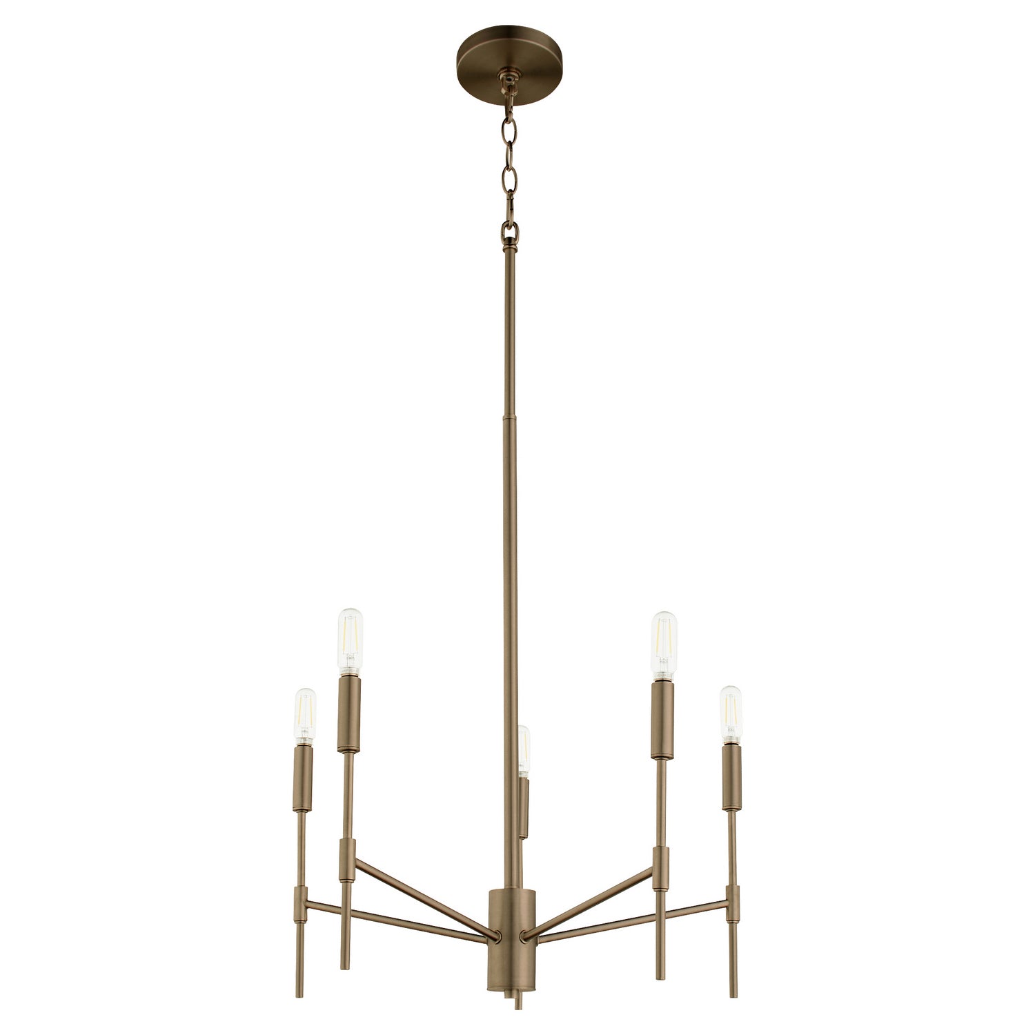 Quorum - 663-5-81 - Five Light Chandelier - Hamilton - Dark Brass