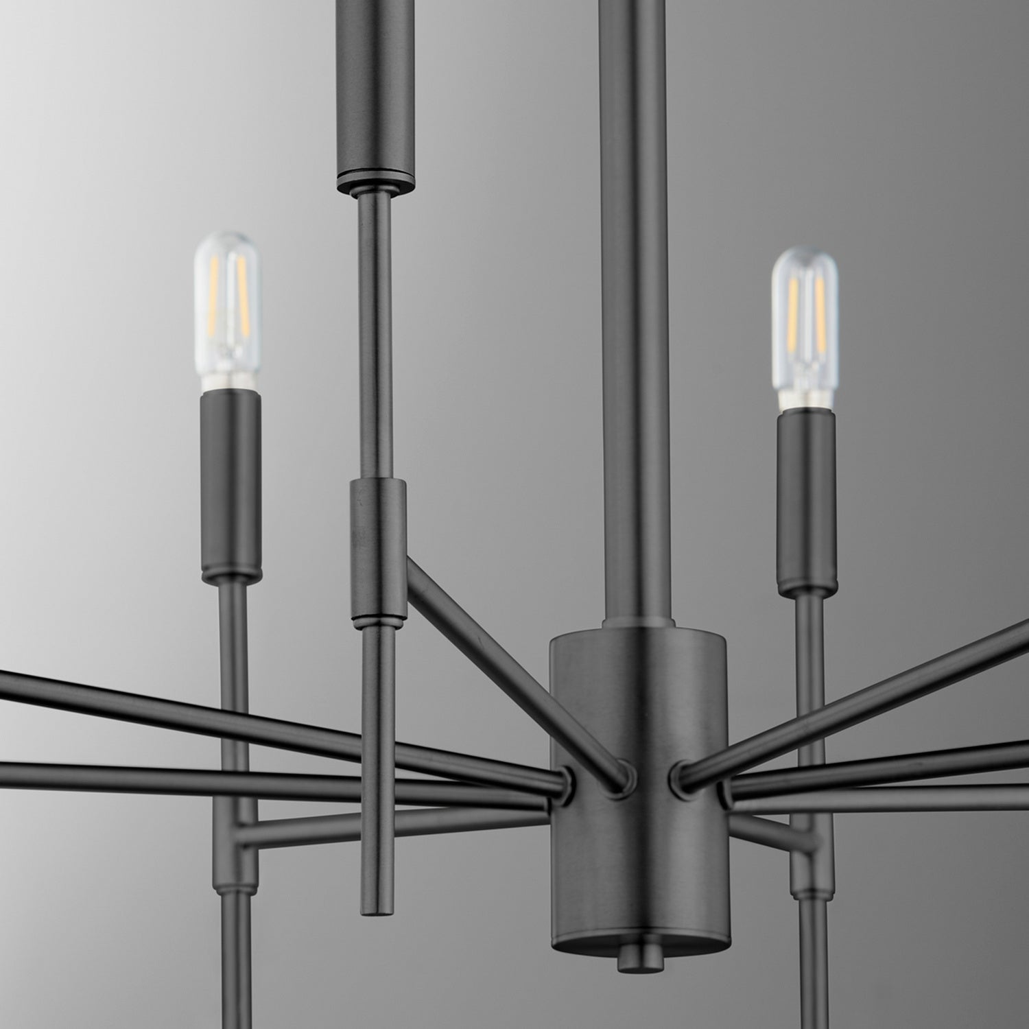 Quorum - 663-8-59 - Eight Light Chandelier - Hamilton - Matte Black