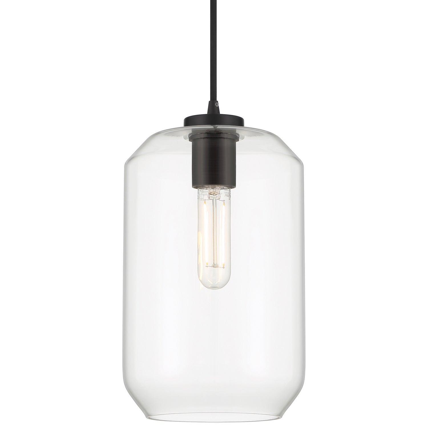 Access - 29010LEDDLP-BL/CLR - LED Pendant - Clarity - Black