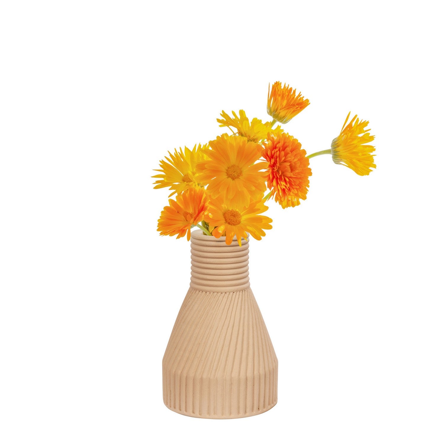 Varaluz - 445VA03A - Vase - Linnea - Wash Brown