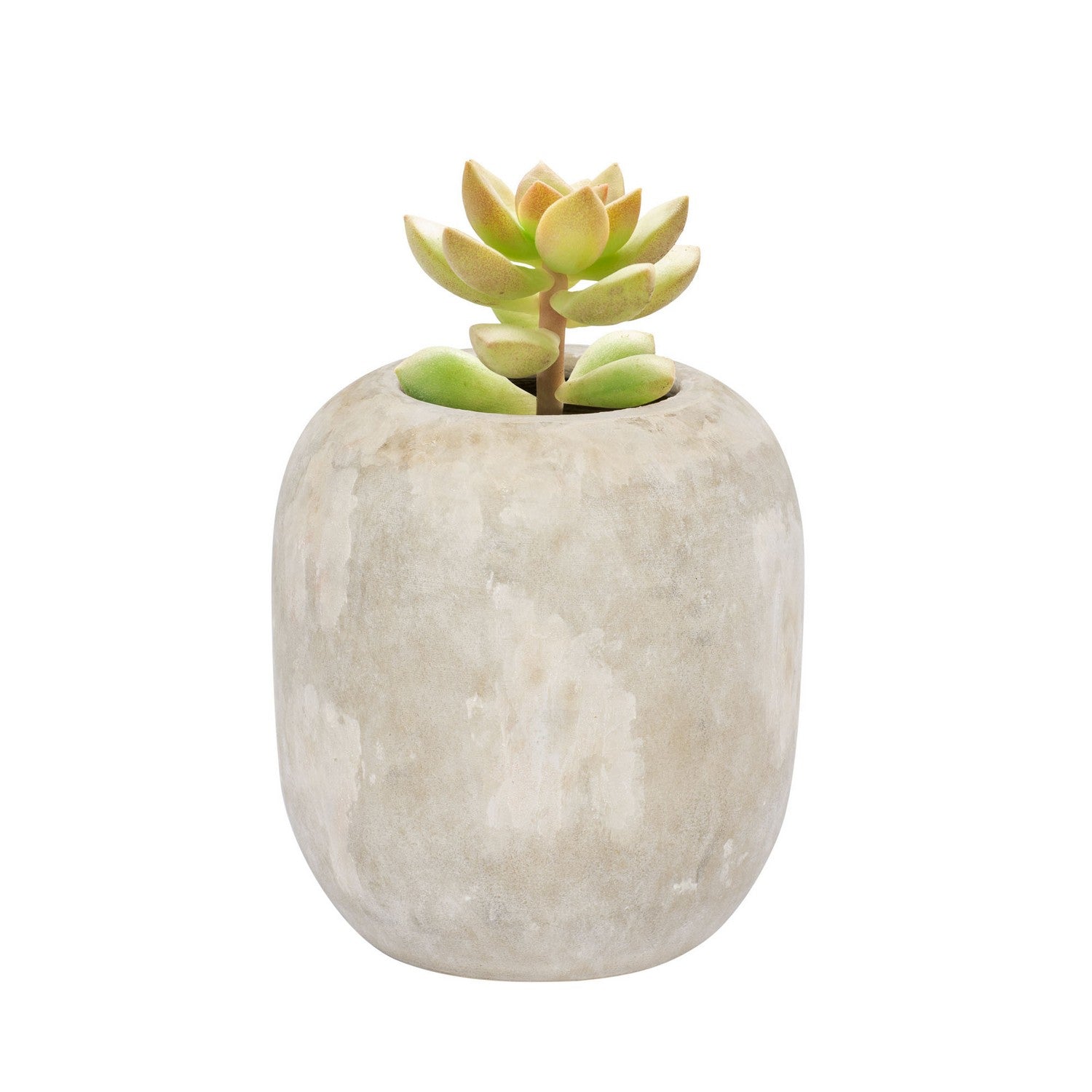 Varaluz - 445VA05A - Vase - Potty - Cafe au Lait