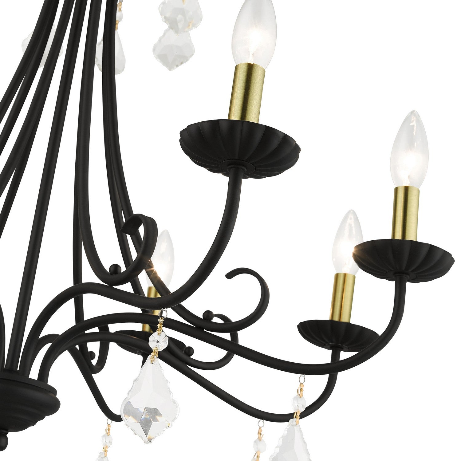 Livex Lighting - 40878-04 - Eight Light Chandelier - Daphne - Black with Antique Brass