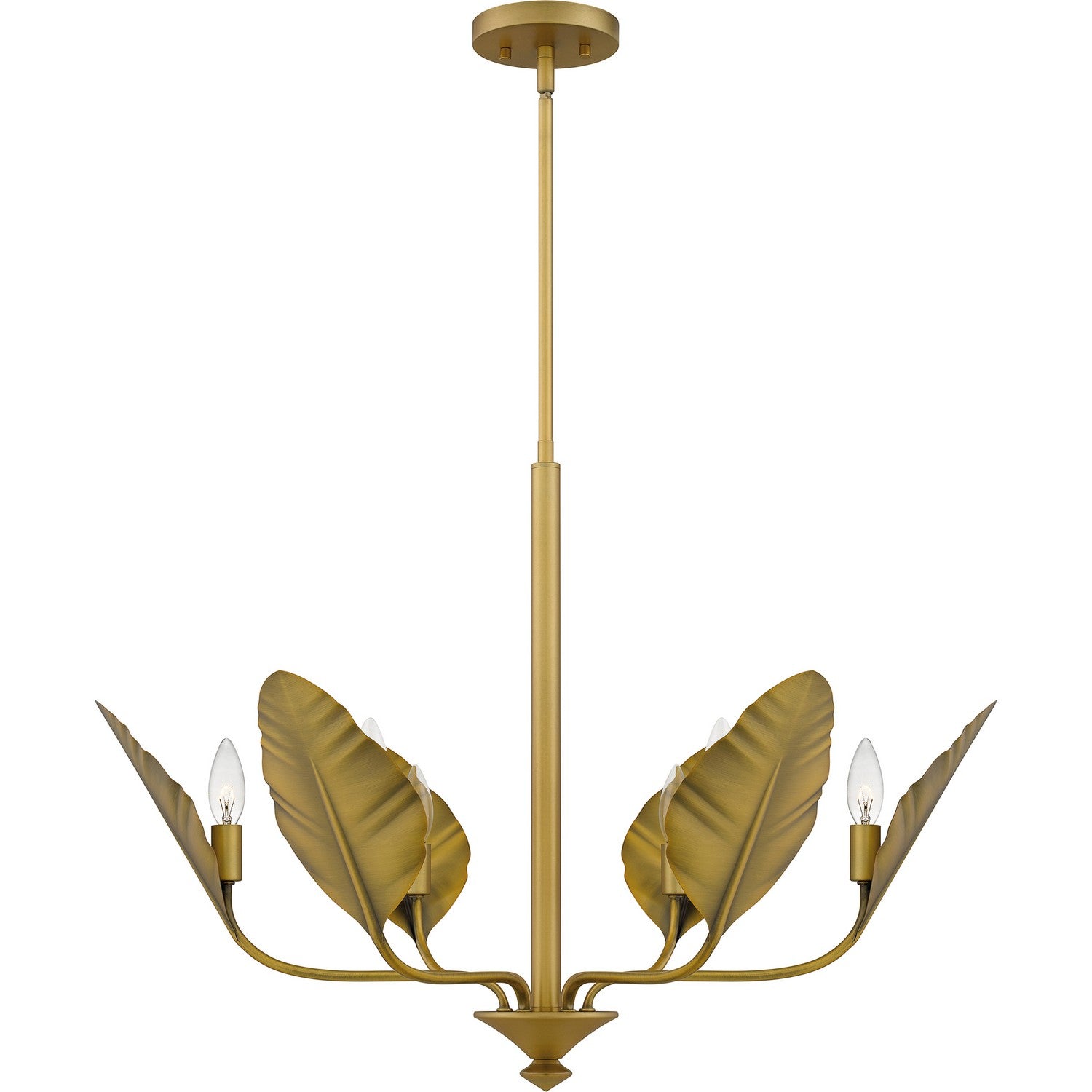 Quoizel - BAY5028AB - Six Light Chandelier - Bayley - Aged Brass