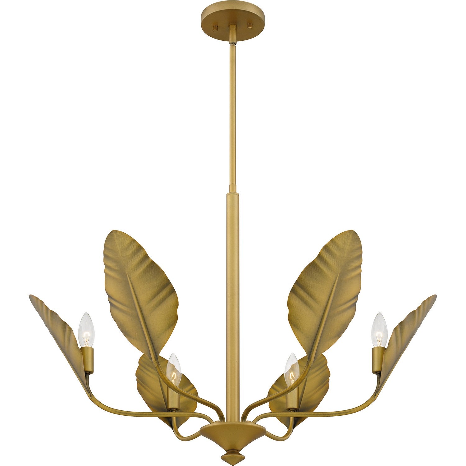 Quoizel - BAY5028AB - Six Light Chandelier - Bayley - Aged Brass