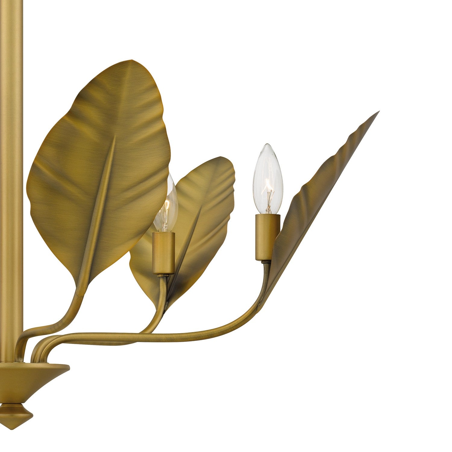 Quoizel - BAY5028AB - Six Light Chandelier - Bayley - Aged Brass