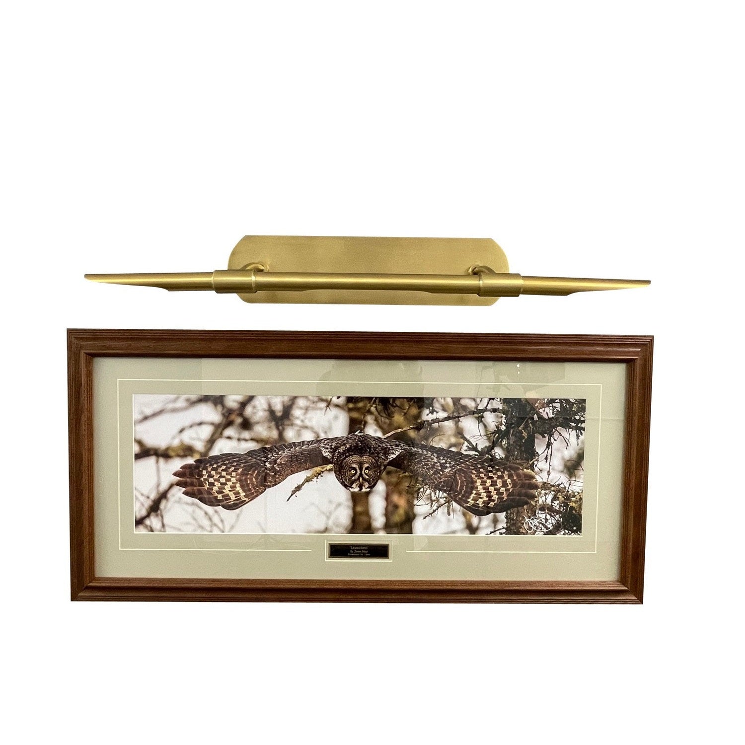 House of Troy - DHALED30-NTB - LED Picture Light - Harper - Natural Brass