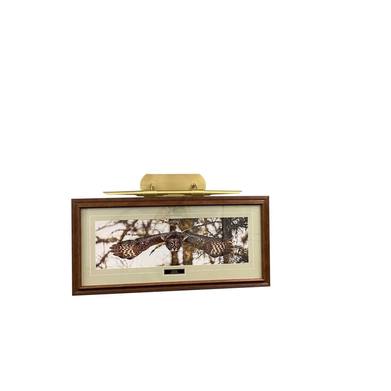 House of Troy - DHALED30-NTB - LED Picture Light - Harper - Natural Brass