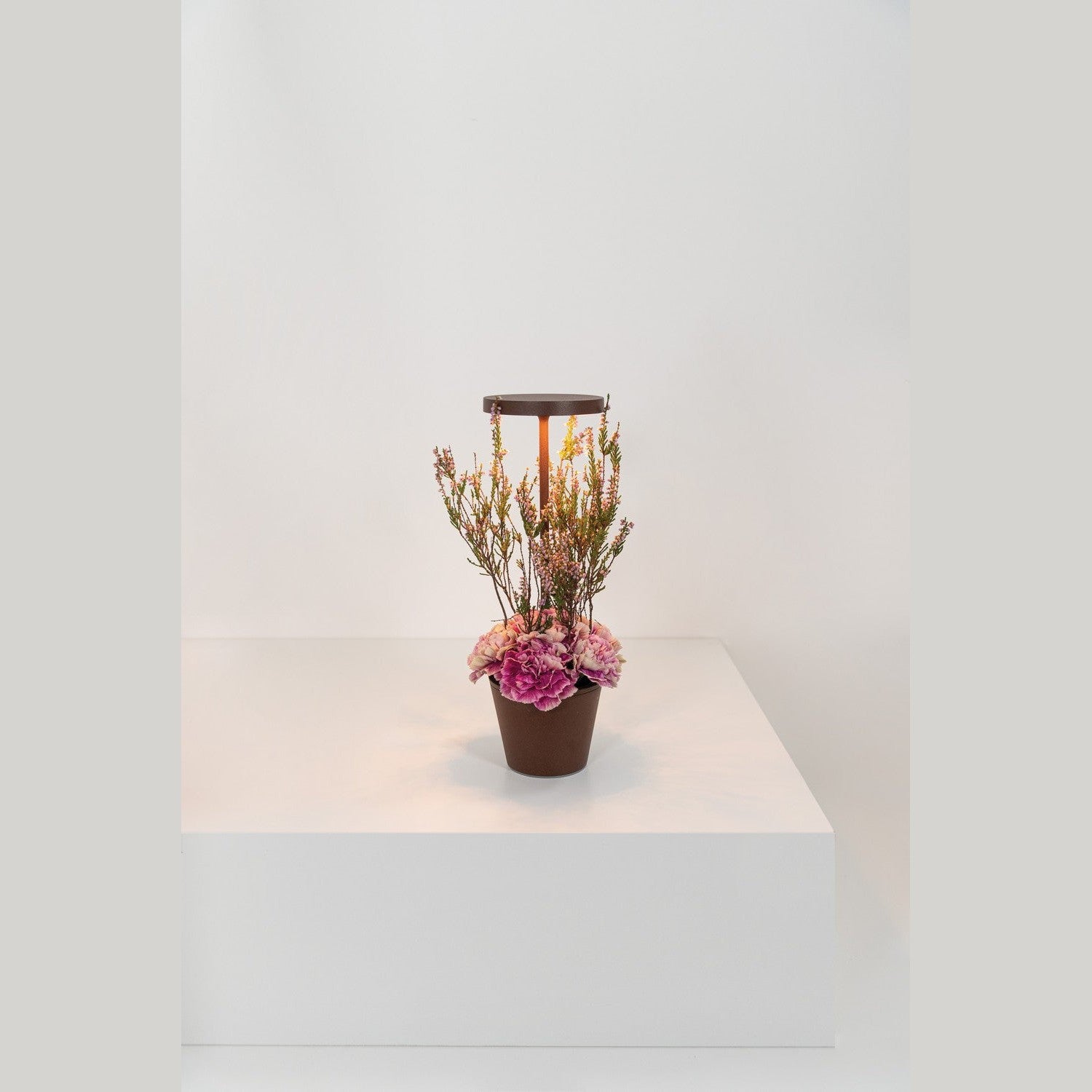 Zafferano - LD0420R4 - LED Table Lamp - Poldina - Rust